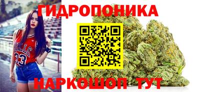 стафф Владимир