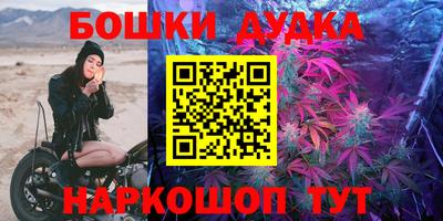 mdpv Владикавказ