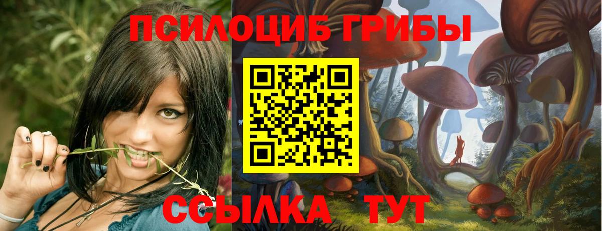 Галлюциногенные грибы прущие грибы Самара