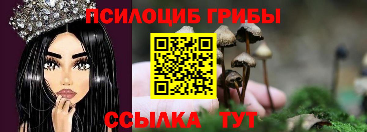 Самара  Псилоцибиновые грибы Psilocybine cubensis  Вход с VPN 